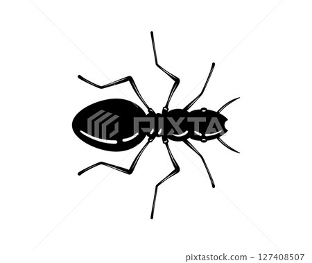 Striking graphic of a black ant silhouette against a white background. Illustrates teamwork, diligence, and nature. Ideal for educational, scientific, or design projects. 127408507