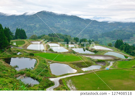 Yamakoshi Kanagurayama rice terraces (Niigata Prefecture) Yamakoshi Kanagurayama rice terraces (Niigata Prefecture) 127408518