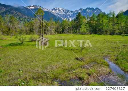 Tashiro Mogahara初夏 127408827