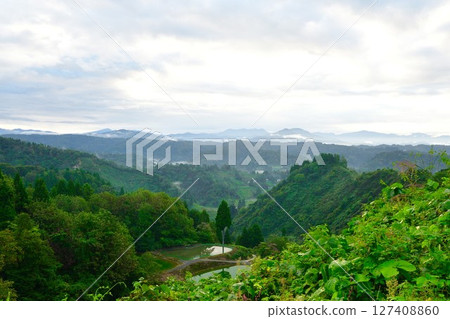 Morning rice terraces at Yamakoshi Ipponsugi (Niigata Prefecture) 127408860