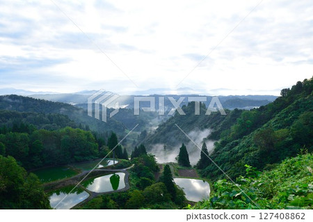 Morning rice terraces at Yamakoshi Ipponsugi (Niigata Prefecture) 127408862