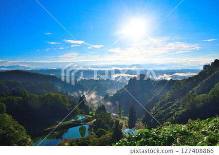 Morning rice terraces at Yamakoshi Ipponsugi (Niigata Prefecture) 127408866