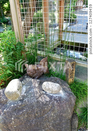 Gosen Hachimangu (Niigata Prefecture) 127409459