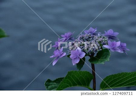 It gets wet when it rains 127409711