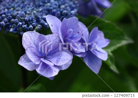 下雨時它會變濕 下雨時它會變濕 127409715