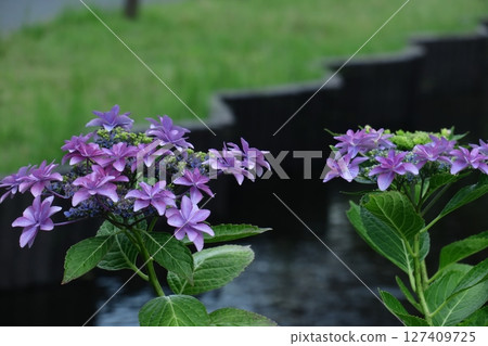 It gets wet when it rains 127409725