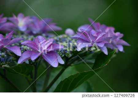下雨時它會變濕 下雨時它會變濕 127409726