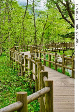 Kamikochi長廊 Kamikochi長廊 127409751