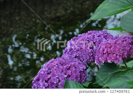 It gets wet when it rains It gets wet when it rains 127409761