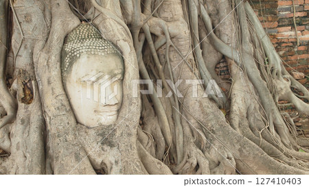 大城佛頭 - 佛面 127410403