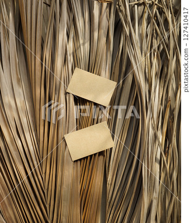 Real photo cards blank brown beige dry palm leaf natural tropical plant aesthetic mockup design 127410417