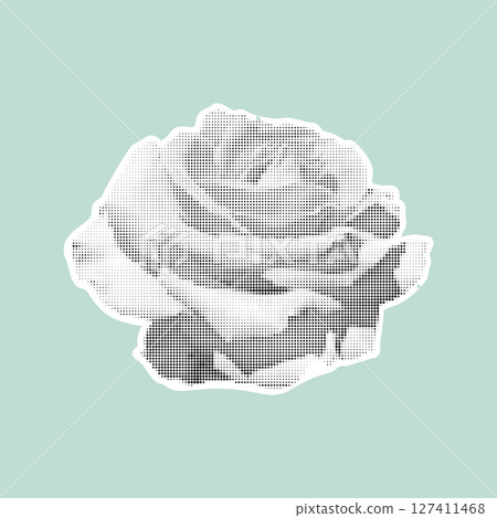 Stylized halftone rose in black and white on pastel background. Vintage retro design. Trendy vector illustration. 127411468