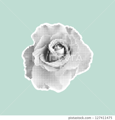 Stylized halftone rose in black and white on pastel background. Vintage retro design. Trendy vector illustration. 127411475