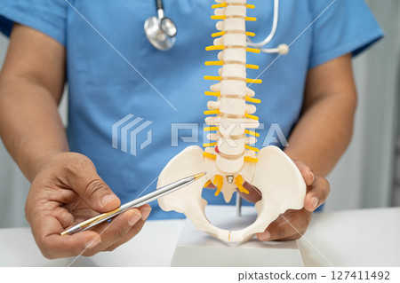 Asian doctor holding spinal nerve and bone model, Lumbar spine displaced herniated disc fragment for treatment medical in the orthopedic department. Asian doctor holding spinal nerve and bone model, Lumbar spine displaced herniated disc fragment for treatment medical in the orthopedic department. 127411492