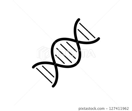 Clean, bold line art illustration of a DNA double helix. Perfect for science, medicine, genetic engineering, or biotechnology projects. 127411962