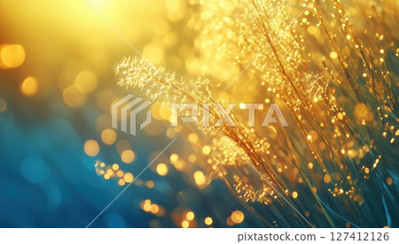 Romantic And Dreamy Image Of Glowing Dandelions In The Summer Sun At Dawn 127412126