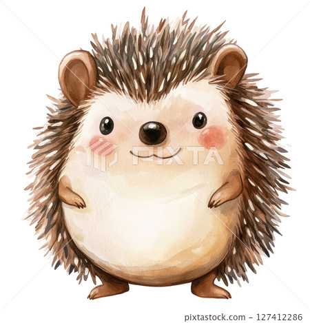 Hedgehog watercolor PNG clipart isolated on white background. 127412286