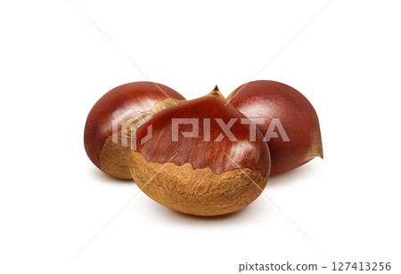 栗子插畫,逼真的日本栗子 栗子插畫,逼真的日本栗子 127413256