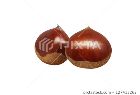 栗子插畫，逼真的日本栗子 127413262