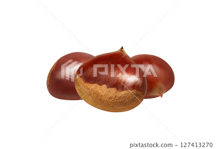 栗子插畫，逼真的日本栗子 127413270