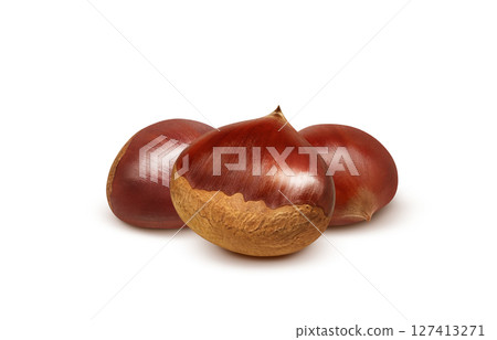 栗子插畫，逼真的日本栗子 127413271