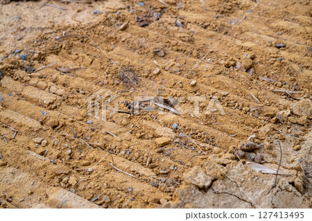 Earthy ground surface and site preparation for urban development and building foundations 127413495