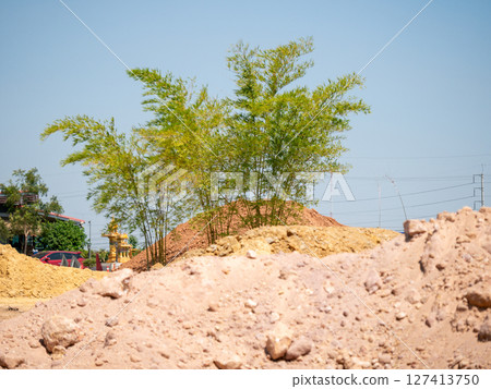 Construction site with bamboo growth urban environment nature clear sky viewpoint Construction site with bamboo growth urban environment nature clear sky viewpoint 127413750