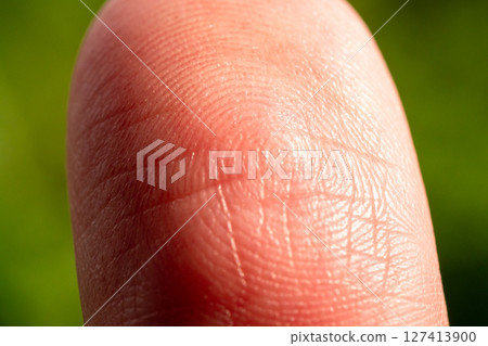 Close-up image of fingerprint in nature detailed macro vibrant green background 127413900