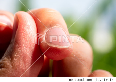 Close-up action of hand touching nature outdoor garden macro greenery natural environment 127413912