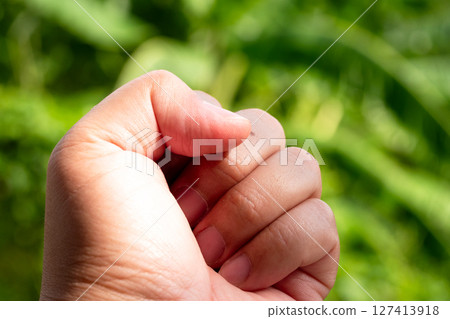 Hand gesture signifying connection green field nature outdoor setting close-up view unity concept 127413918