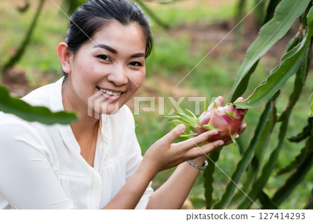 Exploring thailand's dragon fruit farms a local adventure nature travel and community Exploring thailand's dragon fruit farms a local adventure nature travel and community 127414293