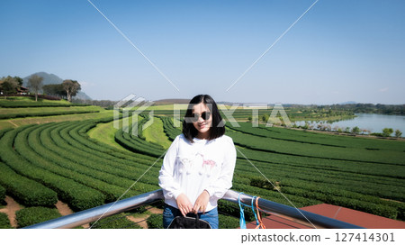 Travel to thailand scenic tea plantations nature landscape vibrant green hills Travel to thailand scenic tea plantations nature landscape vibrant green hills 127414301