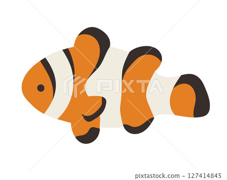 Hand-drawn cute and simple clownfish illustration Hand-drawn cute and simple clownfish illustration 127414845