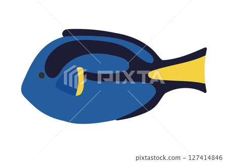 Hand-drawn cute and simple illustration of blue tang 127414846