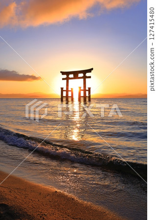 [Shiga Prefecture] Shirahige Shrine's large torii gate in the lake and sunrise (Lake Biwa) 127415480