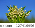 Bouquet of lilies of the valley. Romantic date. The concept of spring, may, summer. 127416956