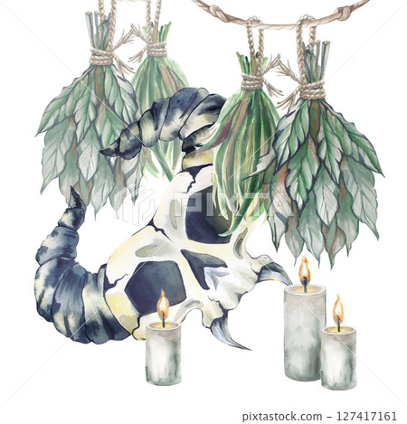 Watercolor composition with witchy things: suspended dried grass, lighted candles and a horned skull of a fantasy creature on a white background. An illustration for Halloween or scary fairy tales Watercolor composition with witchy things: suspended dried grass, lighted candles and a horned skull of a fantasy creature on a white background. An illustration for Halloween or scary fairy tales 127417161