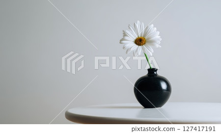 Daisy Flower in a Black Vase on White Surface Daisy Flower in a Black Vase on White Surface 127417191