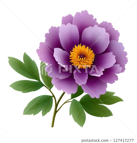 Stunning illustration of a purple peony with intricate petals and vibrant yellow center, accented by lush green leaves. Ideal for floral art projects and decorative designs. 127417277