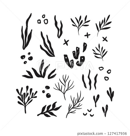 Whimsical corals and seaweed drawing 127417936