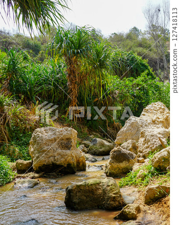 Lush tropical stream and rocks surrounded by dense greenery in Ham Tien canyon, Vietnam 127418113