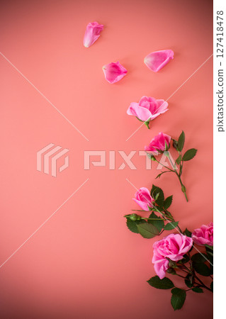 Delicate roses on pink background with copy-space Delicate roses on pink background with copy-space 127418478