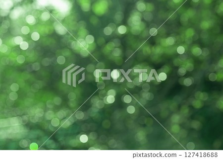 Abstract natural defocus light background. Bokeh, blurred greenery with drops. 127418688