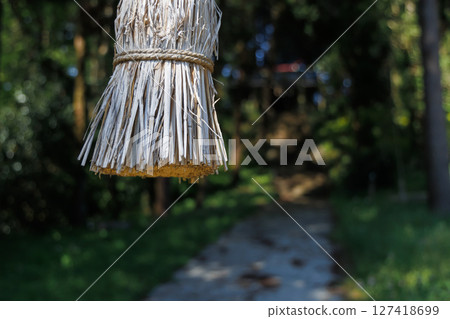 新綠時節的南阿蘇村湧水區（明神池名水公園） 127418699