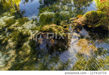 新綠時節的南阿蘇村湧水區(明神池名水公園) 新綠時節的南阿蘇村湧水區(明神池名水公園) 127418710