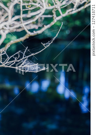 新綠時節的南阿蘇村湧水區（明神池名水公園） 127418711