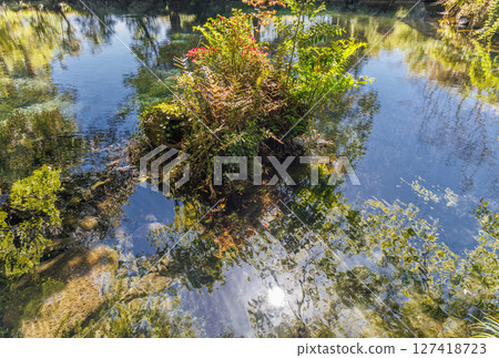 新綠時節的南阿蘇村湧水區（明神池名水公園） 127418723