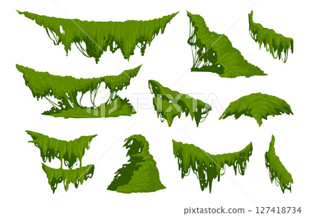 Creeping lichen. Hanging jungle moss, swamp green moss plants flat vector illustration set. Cartoon rainy forest flora on white Creeping lichen. Hanging jungle moss, swamp green moss plants flat vector illustration set. Cartoon rainy forest flora on white 127418734