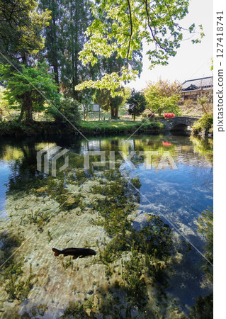 新綠時節的南阿蘇村湧水區（明神池名水公園） 127418741