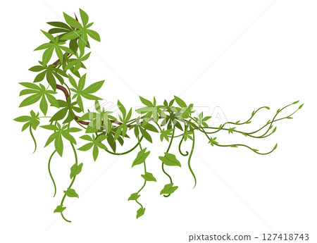 Jungle liana plants. Rainforest liana vines, tropical climbing ivy creepers, exotic ivy creeper flat vector illustration. Cartoon evergreen climbing plant 127418743